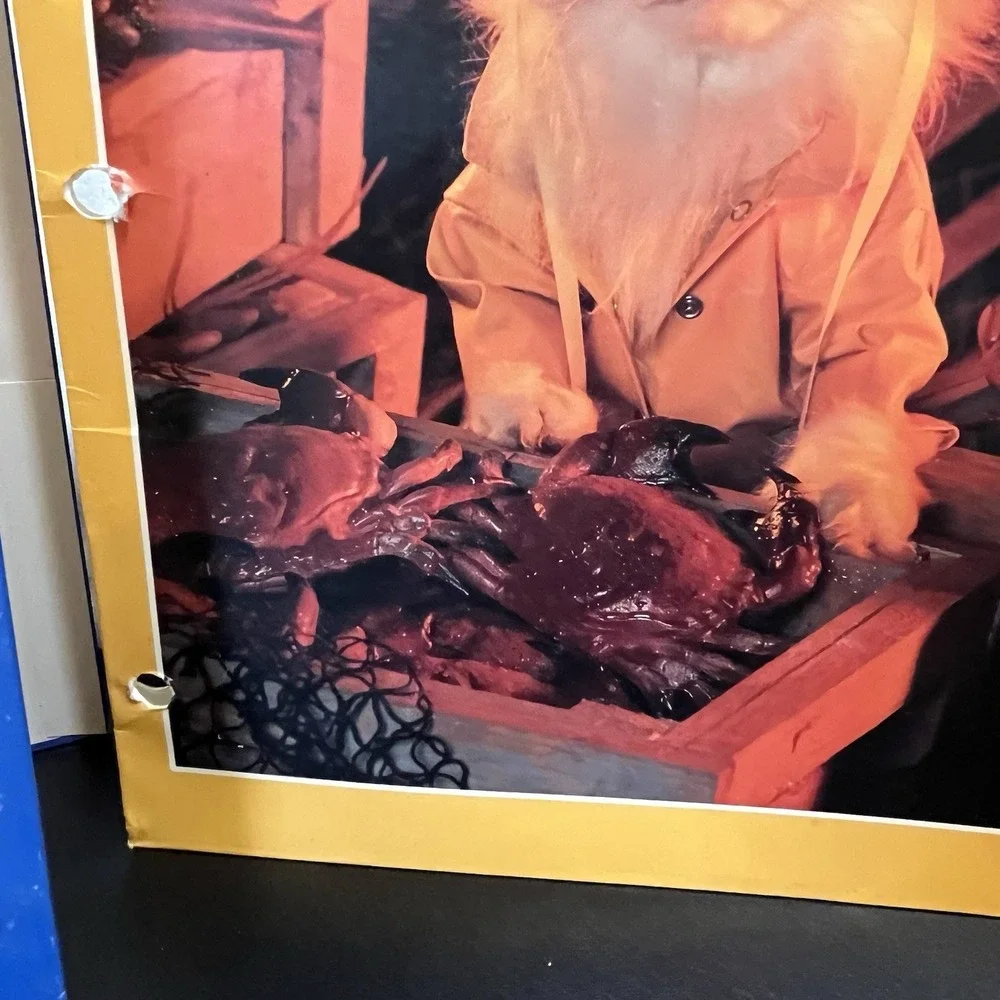 Vintage Cat Folders Stuart Hall 1993 Kittens Animal School Supplies 90s Retro